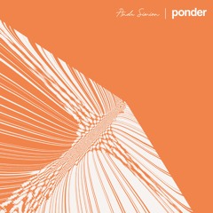 Ponder #02 | Andu Simion