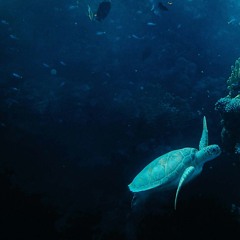 Sunken Lights (SNES)