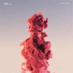 Niicap, Robertson - The Sky Is Clear