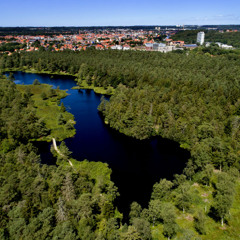 20.05.2025: Det sker i Silkeborg (Uge 21)