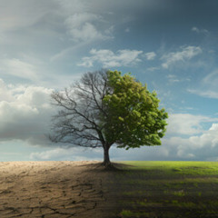 As Seasons Pass