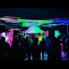 Fruitaverse 2024 (Psytrance Night Time)