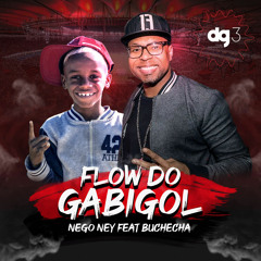 Flow do Gabigol