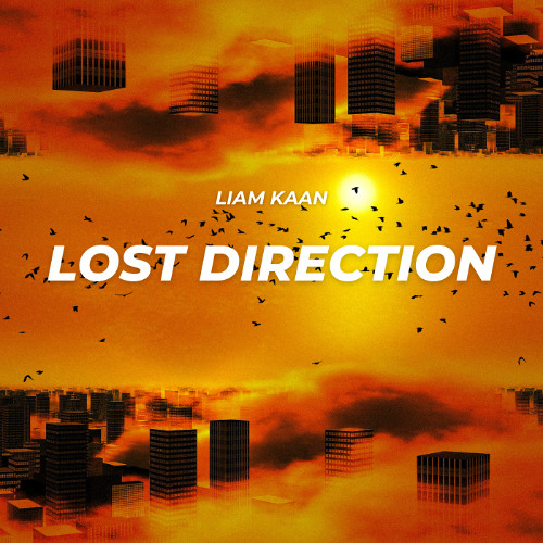 Lost Direction