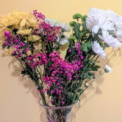 'Altitude' cover, originally by Fred V & Graffix ft. Amy J Pryce. Acoustic WhatsApp voice note