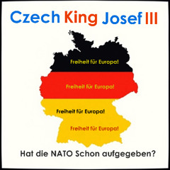 Hat die NATO
