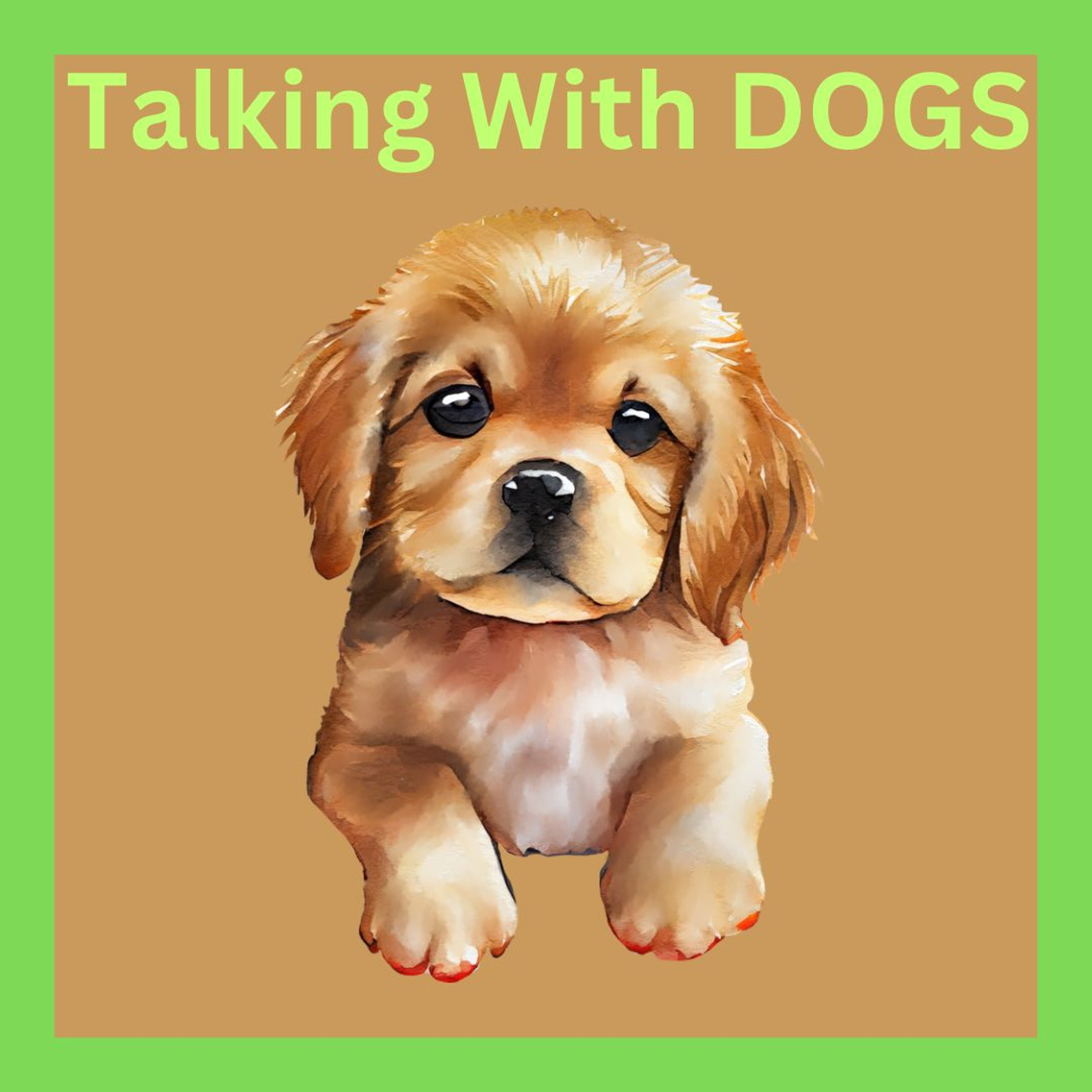 Talking With Dogs - Kyran, Spencer, Cameron and Henry - St Michael's College episode artwork