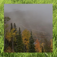 YOU ARE FORGETTING THE MOST IMPORTANT THING