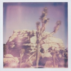 hvvvn - blackbeatles