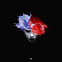 Froyke - In The Dark