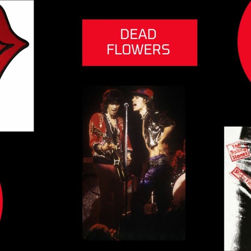 Stream Dead Flowers Rolling Stones by Flávio Penido Listen online