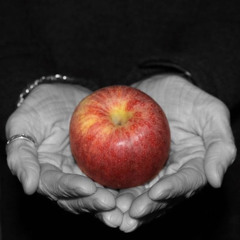 the giver