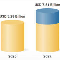 야이 또라이새끼야