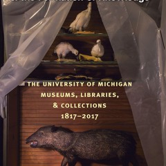 ⚡PDF ❤ Object Lessons and the Formation of Knowledge: The University of Michigan