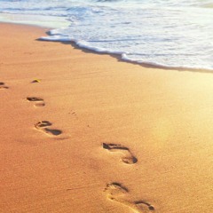 Lost In the Stars - Martin Gore (Cover)