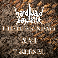 I Hate Mondays XVI | Trœbsal | Techno | 123 BPM