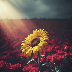 MIXTAPE VIETMIX V2 & GILL.mp3