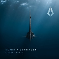 Dominik Gehringer - Strange World