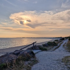 Big jet plane - AUGUS & JULIA STONE