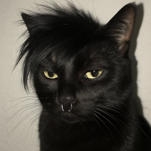 Yêu Một Người Vô Tâm Ver2 - Thái Hoàng Remix