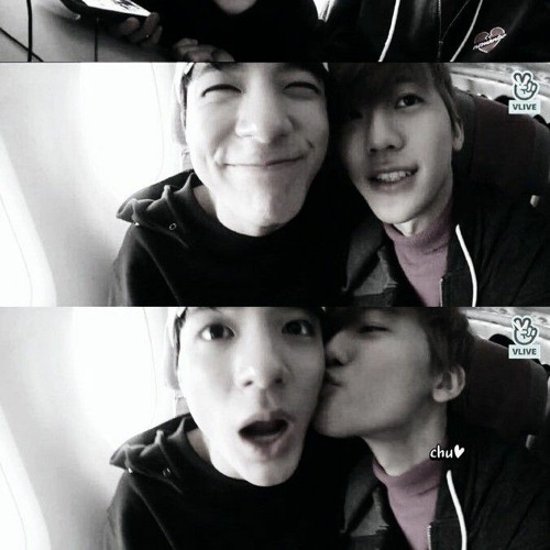 โอ๋ Seal Pillow