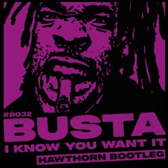 BUSTA RHYMES - I KNOW YOU WANT IT (HAWTHORN BOOTLEG)  [FREE DOWNLOAD]