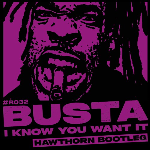 BUSTA RHYMES - I KNOW YOU WANT IT (HAWTHORN BOOTLEG)  [FREE DOWNLOAD]