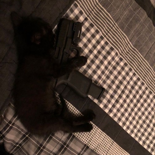 harry! - pick it up