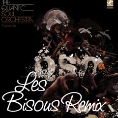 Quantic Soul Orchestra - Pushin' On ( Les Bisous Remix )