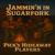 Artwork for Jammin in a Sugarfork
