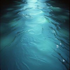 Shallow Rivers
