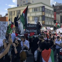 Quebec's Popular Widespread Movement to Support Palestine
