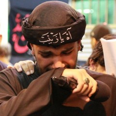 الرادود علي مرهون /فقرة جالس بحيرة