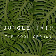Jungle trip