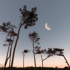 the moon was trying to hide from you