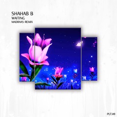Premiere: Shahab B - Waiting (Madraas Remix) [Polyptych]