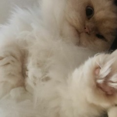 The first thing I made in logic