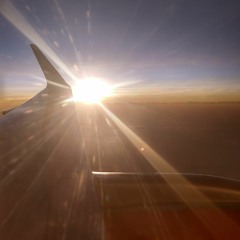 Quarentine Series 2 : First Year