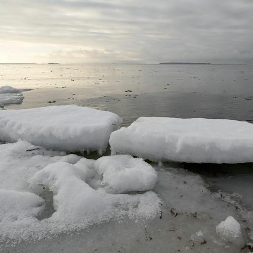 Snoring Sea Ice - 28/1/2021 - Loukkeennokka Shore