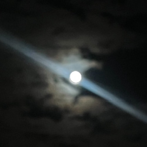 moonshine