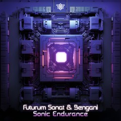 Futurum Sonat & Bengani - Sonic Endurance (Original Mix)