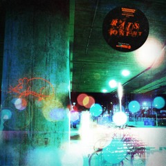 The Rats Are Out Tonight (Single Release)