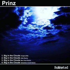 Prinz - Big In The Clouds (AKKI Remix)