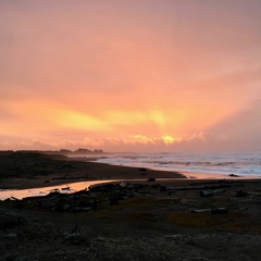 Youngmae, by Adria Otte