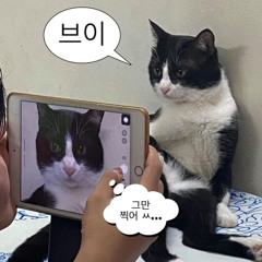 내 기쁨은 너가 벤틀리를 끄는거야
