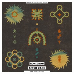 Roni Iron - After Dark (Original Mix)