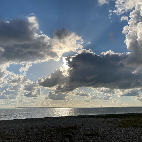 Light Finds It's Way