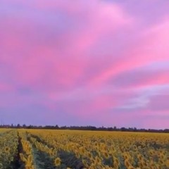 Beautiful you - NVRMND