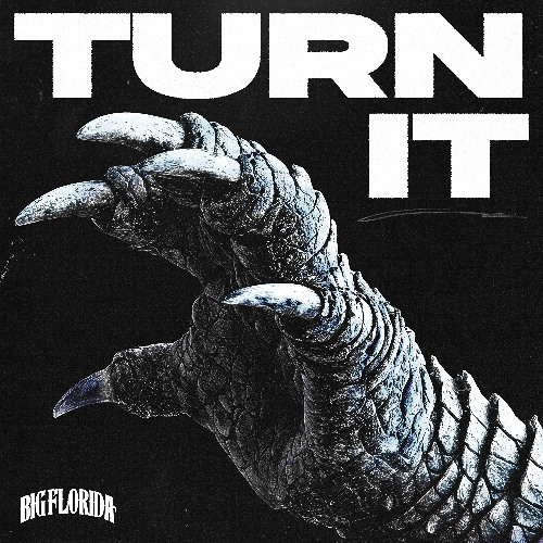 BIG FLORIDA - TURN IT
