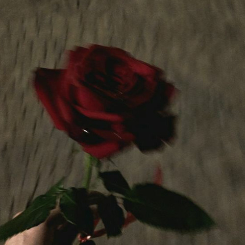 Red Rose ft Apollo (prodbytobi)